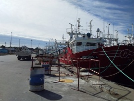 Cómo sigue el trabajo en el muelle tras el trágico hecho en Puerto Deseado