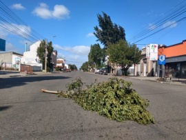 Ramas caídas y cables colgando: Extremar precaución por alerta de vientos fuertes