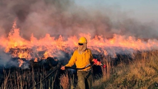 Corrientes afectada por incendios forestales en más de 500 mil hectáreas