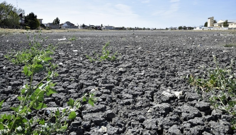 El cambio climático y sus consecuencias de sequía y desertificación afecta a los humedales, como es el caso de la laguna María La Gorda en Río Gallegos.