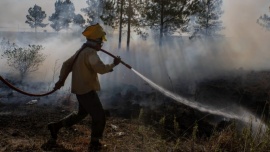 Persisten ocho focos de incendio activos en Corrientes y otros seis en Misiones