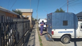 Rescataron 5 perros de una casa y desconocen el paradero del dueño