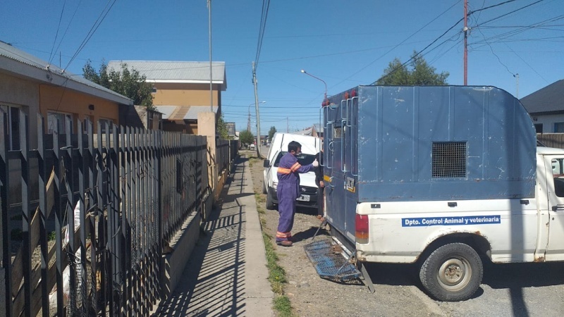 Operativo en la vivienda. 