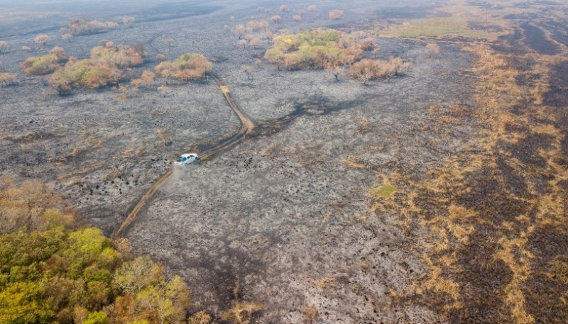 Iberá después del fuego