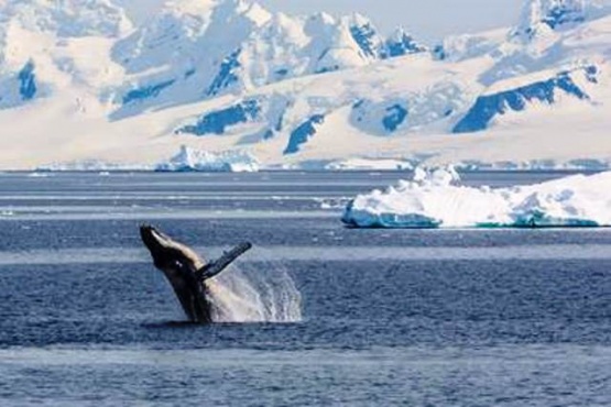 “La masa de agua que se pierde en la Antártida trae problemas para todas las zonas costeras del planeta”