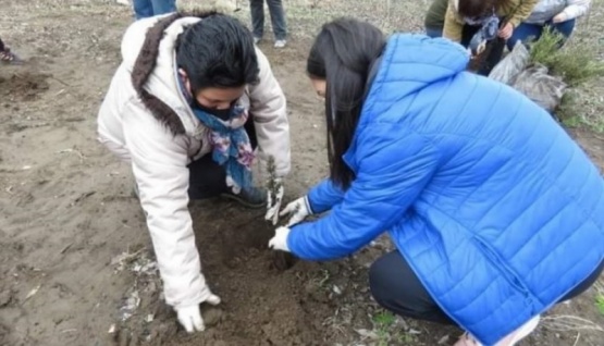 Presentaron proyecto para forestar Río Gallegos