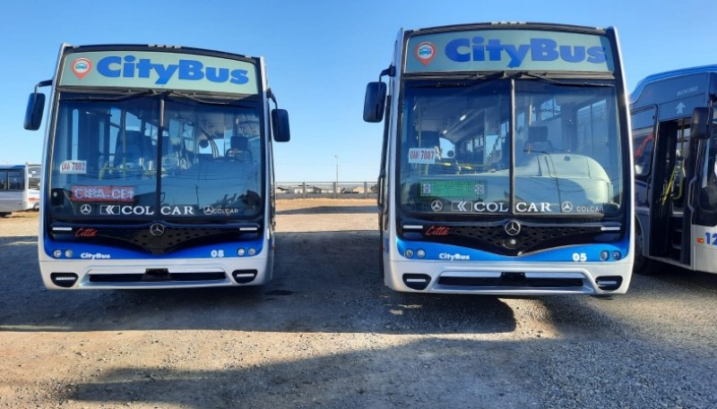 Colectivos de City Bus (Foto: U.Romano).