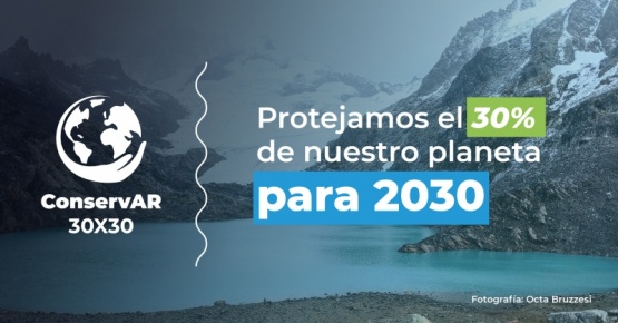 Lanzaron campaña para conservar un tercio del Planeta