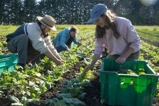 Agricultura familiar