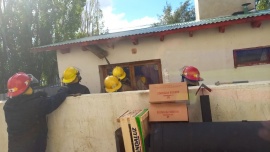 Invasión de avispas en Río Gallegos: no podían salir de la casa y tuvieron que llamar a bomberos