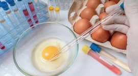 Los huevos Kinder en problemas: qué es la salmonella y qué puede provocar