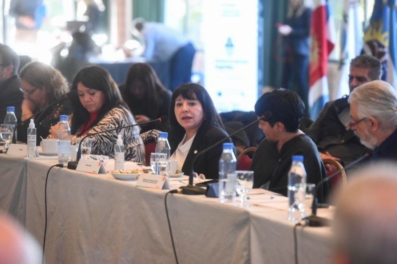 María Cecilia Velázquez presente en la 117° Asamblea del Consejo Federal de Educación (CFE).