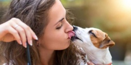 Los besos de perro pueden transmitir “superbacterias” resistentes a los antibióticos