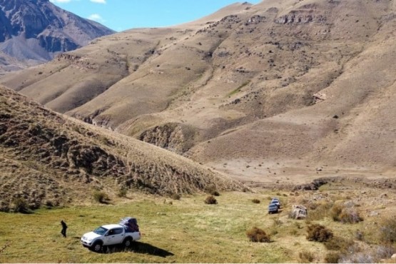 Exploradores descubrieron un nuevo dinosaurio carnívoro en cercanías a El Calafate