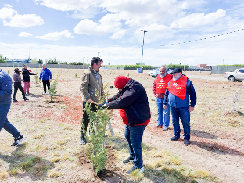 El Club Rotary Río Gallegos lleva a cabo un programa de forestación en los barrios.