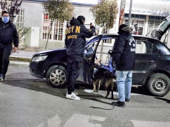 Canes inspeccionaron los rodados controlados. 