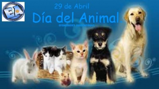 29 de abril: Día del Animal