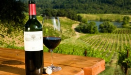 Argentina estará presente en la feria de vinos más importante del mundo