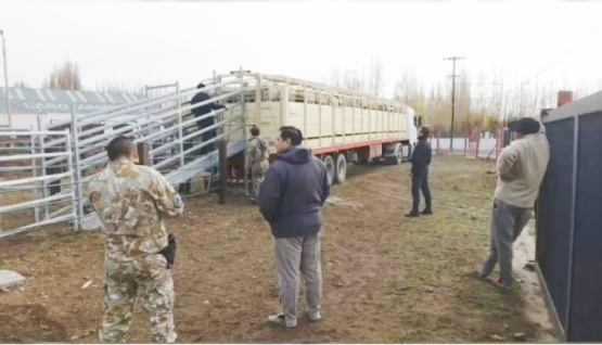 El camión fue controlado en la entrada a El Calafate.