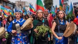 Nicolás Ulloa: “no es el pueblo mapuche el que está quemando camiones”