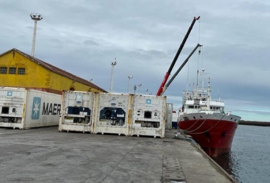 Estibadores piden garantía de 20 jornales por mes para los trabajadores