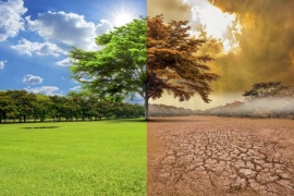 Andrés Napoli: “El cambio climático siempre le pasa a otro, pero a nosotros nos pasa ahora”