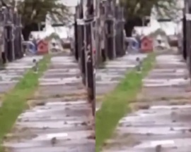 Grabaron a un bebé fantasma en el cementerio de Ezpeleta