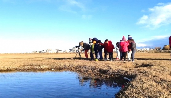 Se encuentran abiertas las inscripciones para las Colonias de Invierno en el Estuario.