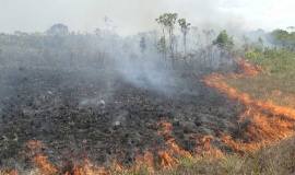 Rafael Colombo: “En Argentina tenemos varias hectáreas arrasadas por el fuego”
