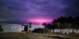 Un fascinante resplandor rosado dejó atónita a una ciudad australiana: “¿Vecna, eres tú?”