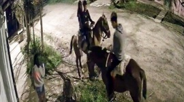 Como “Pasión de gavilanes”: dos jóvenes pasan a buscar a dos chicas a caballo y enamoraron a TikTok