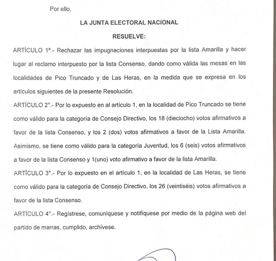 Resolución de la Junta Electoral Nacional del PRO.