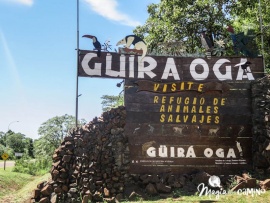 El enriquecimiento ambiental que realiza la Fundación Güira Oga