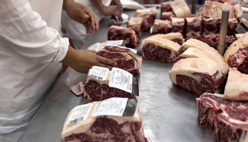 Argentina rompió récord en la exportación de carnes en el primer semestre del 2022.