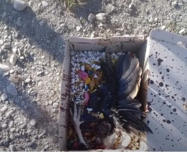 Encontraron un “gualicho” en una Laguna de Río Gallegos