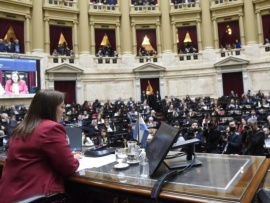 Diputados votó por unanimidad un repudio al atentado contra la Vicepresidenta