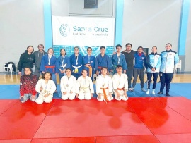 Los representantes en judo