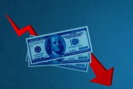 El Dólar Blue tuvo una gran baja tras la oficialización del Dólar Soja