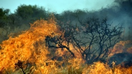 Cinco provincias registran incendios forestales activos