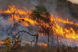 Tres detenidos por los incendios forestales en Córdoba