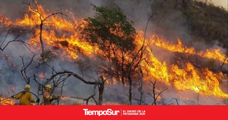 Tres detenidos por los incendios forestales en Córdoba - Vimarsana News