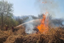 Trece provincias reportaron incendios forestales y en nueve continúan con focos activos