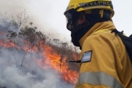Continúan los incendios forestales en las yungas del Parque Nacional Calilegua