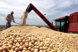 Las cerealeras que se beneficiaron del "dólar soja" no podrán acceder al mercado de cambios