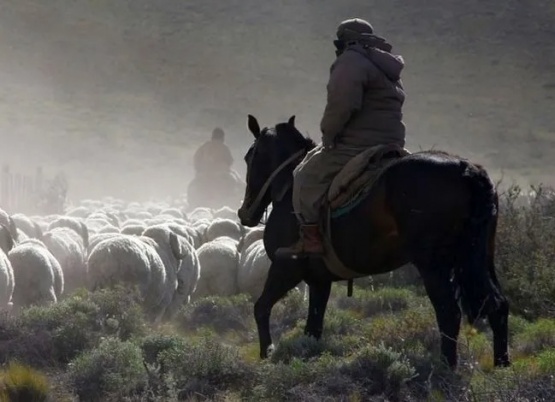 Ingresan a robar en el casco de la estancia el Mangrullo