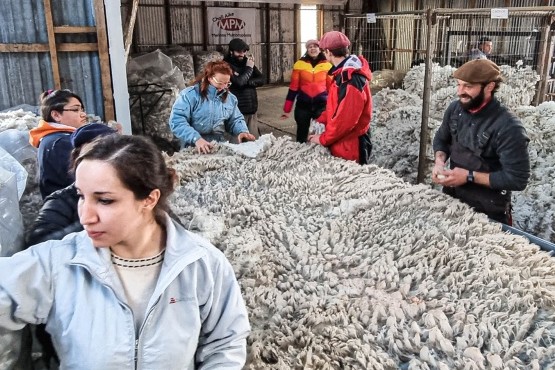 Mujeres en camapaña de esquila 