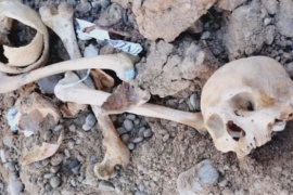 Estudiantes hallaron huesos humanos enterrados en una pensión de La Plata