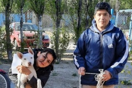 El equipo del Centro de Sanidad Animal se trasladó a la Zona de Chacras