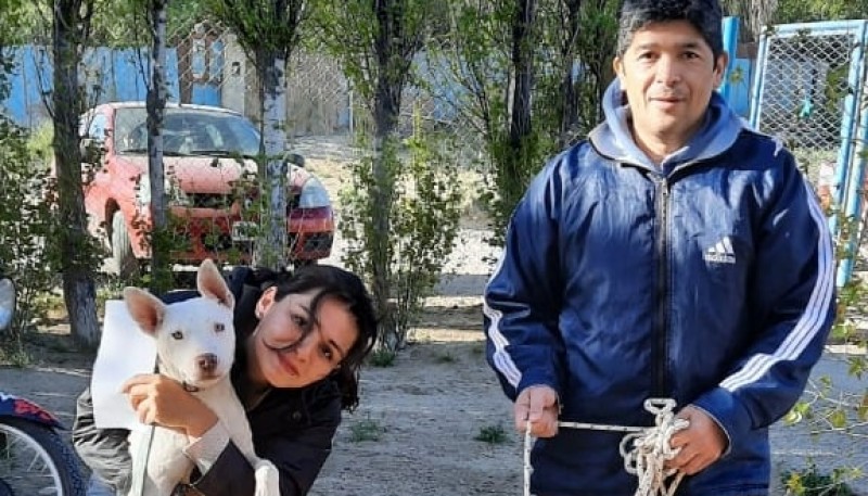 El equipo del Centro de Sanidad Animal se trasladó a la Zona de Chacras  