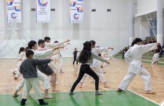 Exhibición de Karate